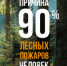 Всероссийская противопожарная компания «Антипожары» - Пионерский городской округ